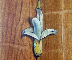 Korsfäst banan. 33x27 cm 2013. *