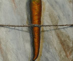 Morotsbondage 22 x18 cm. 2015. Carrot bondage *